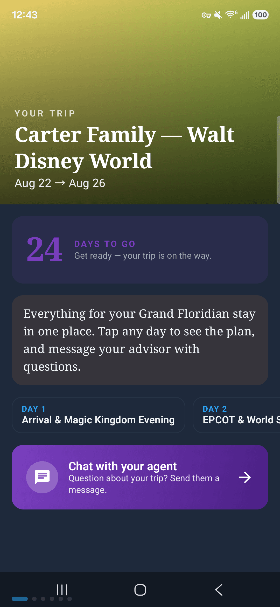 Pixie Dust CRM client app itinerary screen showing a Walt Disney World trip countdown, day cards, and chat with your agent call to action